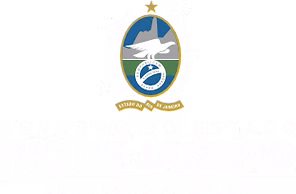 Governo do Estado do Rio de Janeiro